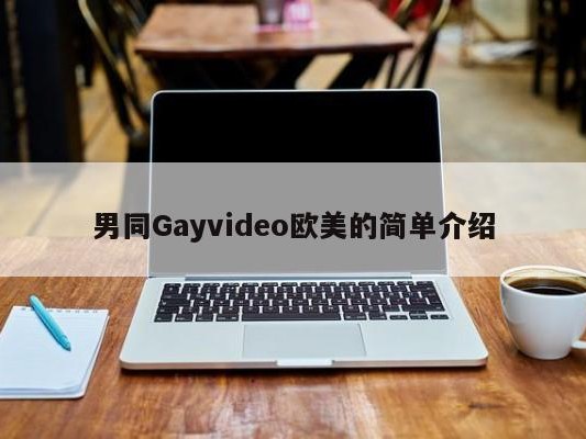 男同Gayvideo欧美的简单介绍